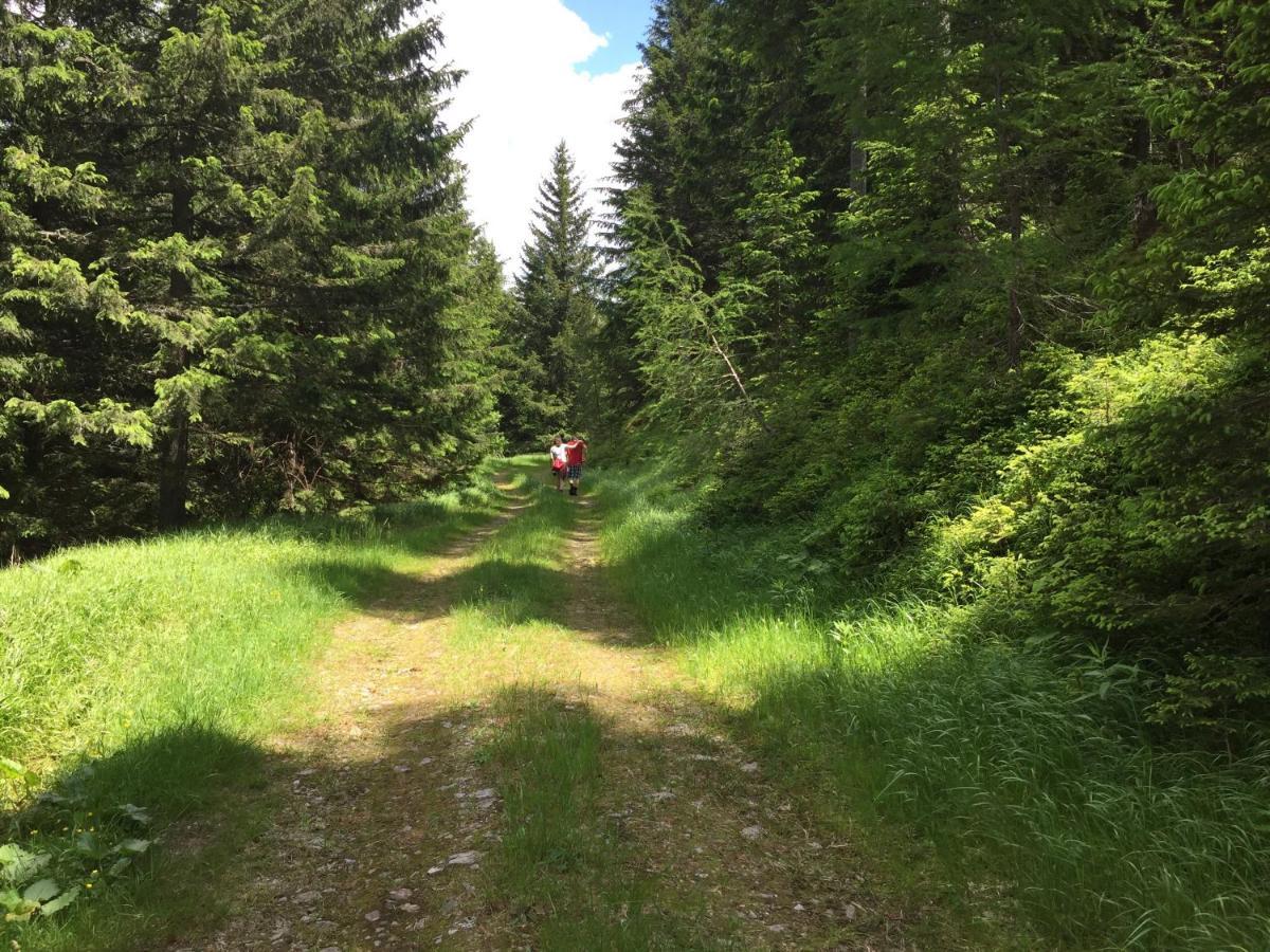 Ferienwohnungen Bianca Hasler - Stallbauer Pusterwald Exteriér fotografie